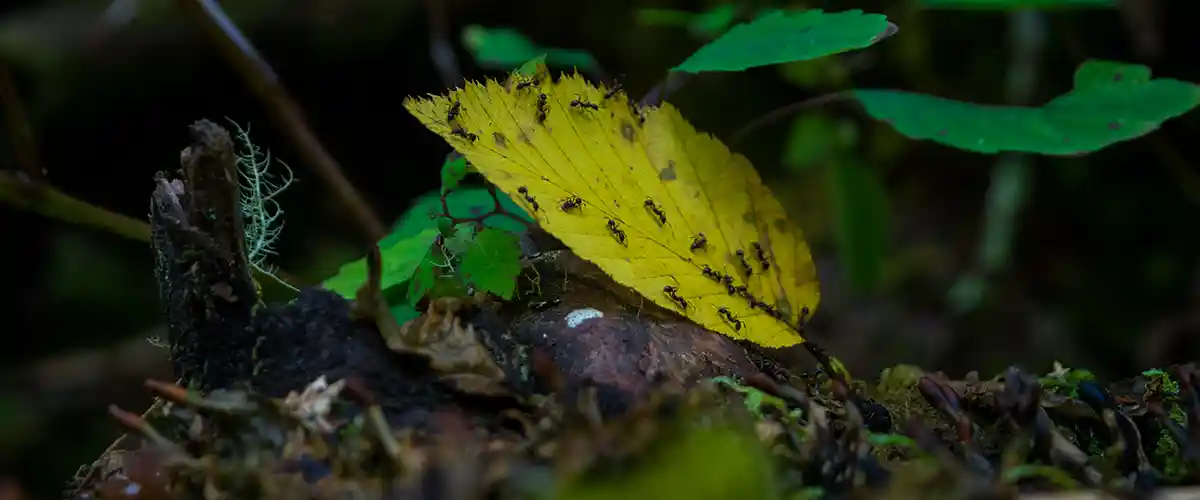 Jocassee-Wild-Outdoors-Naturalist-Certification-Gallery