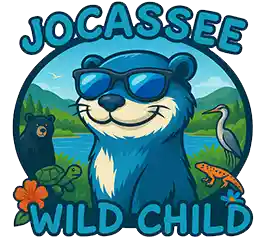 Jocassee Wild Outdoor Education